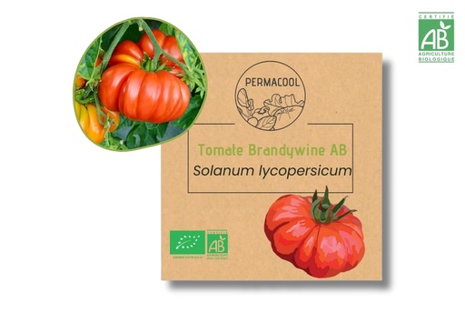 [PC-1070] Tomate Brandywine AB
