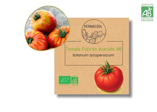 [PC-1071] Tomate Potiron écarlate AB