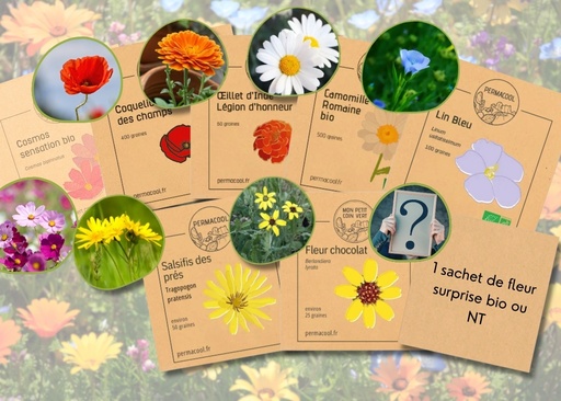 [PC-1072] Lot de graines de fleur anti-gaspi