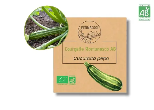 [PC-1075] Courgette Romanesco AB