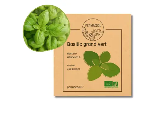 [PC-106DL] Basilic Grand Vert "Genovese" AB DL