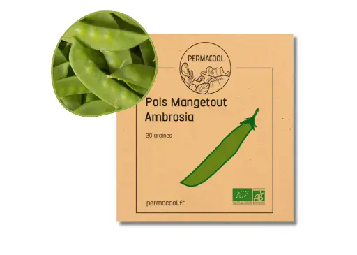 [PC-109DL] Pois Mangetout Ambrosia AB DL