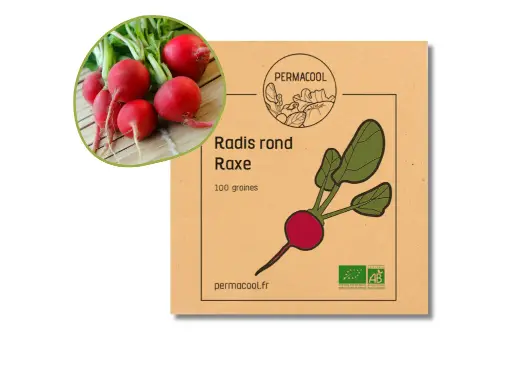 [PC-201DL] Radis rond raxe AB DL