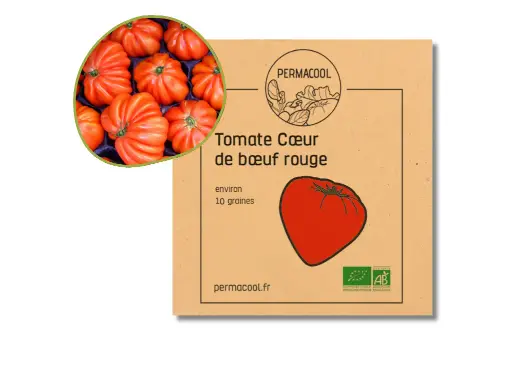 [PC-208DL] Tomate coeur de boeuf AB DL