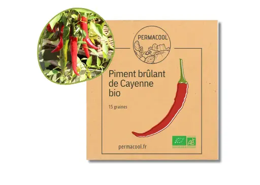 [PC-219DL] Piment de cayenne AB DL