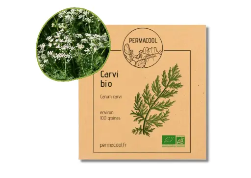 [PC-478DL] Carvi AB DL