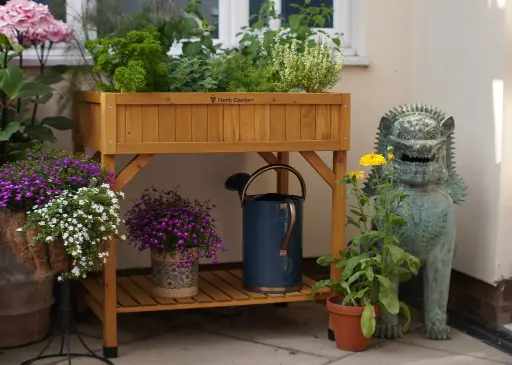 Carré potager en bois surélevé VegTrug pour herbes aromatiques