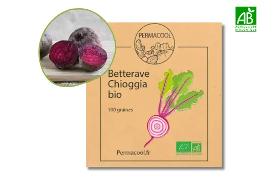 [PC-760DL] Betterave chioggia AB DL