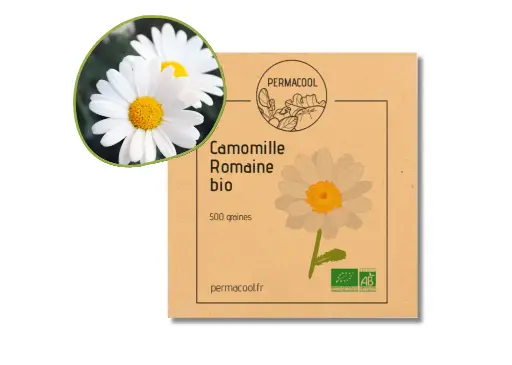 [PC-390DL] Camomille romaine AB DL
