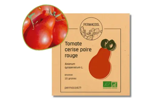 [PC-107DL] Tomate cerise poire rouge AB DL