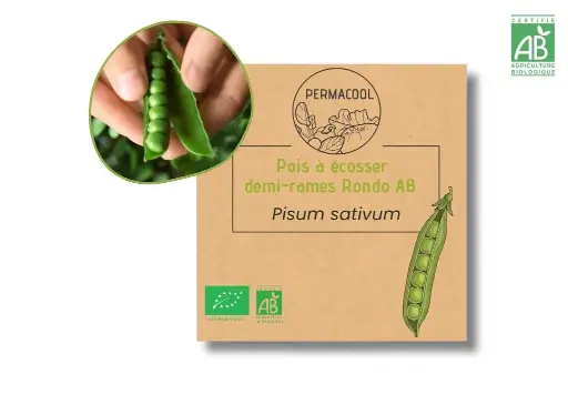 [PC-1101] Pois à écosser demi rames rondo AB