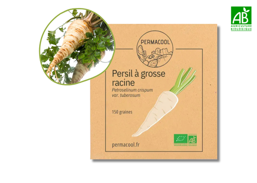 [PC-817] Persil à grosse racine AB 