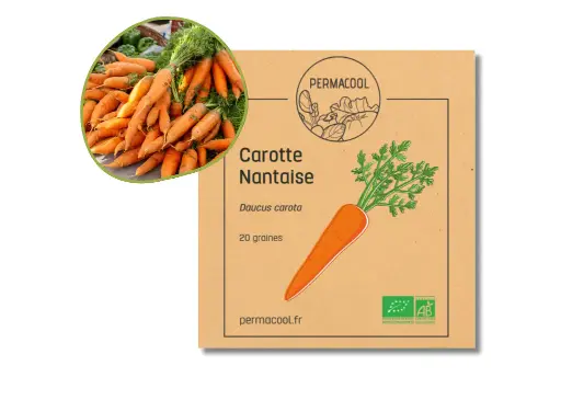 [PC-820] Carotte Nantaise AB