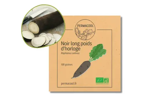 [PC-948] Radis noir long poids d'horloge AB